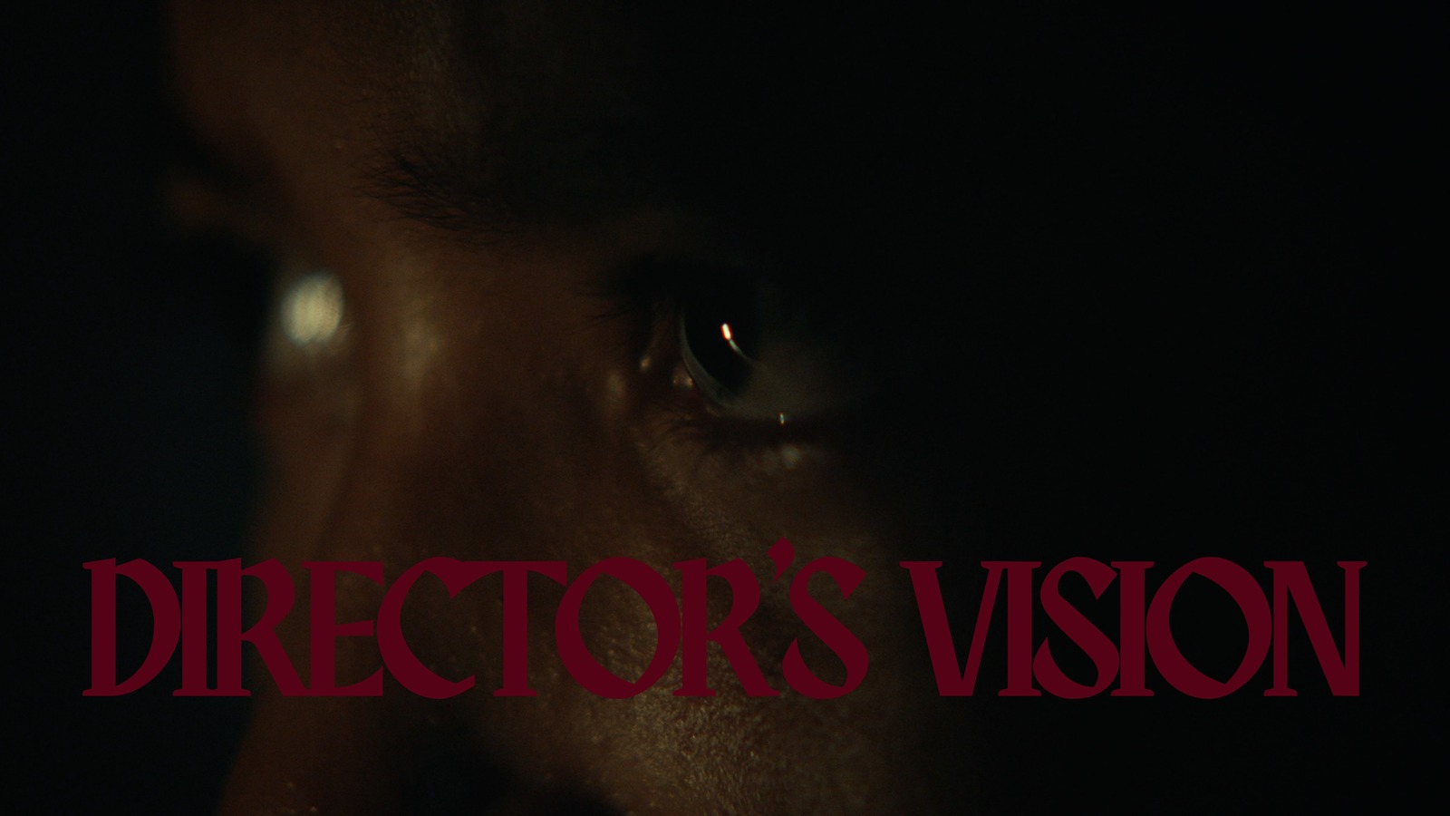 Director's Vision divider slide, an extreme close up of an eye